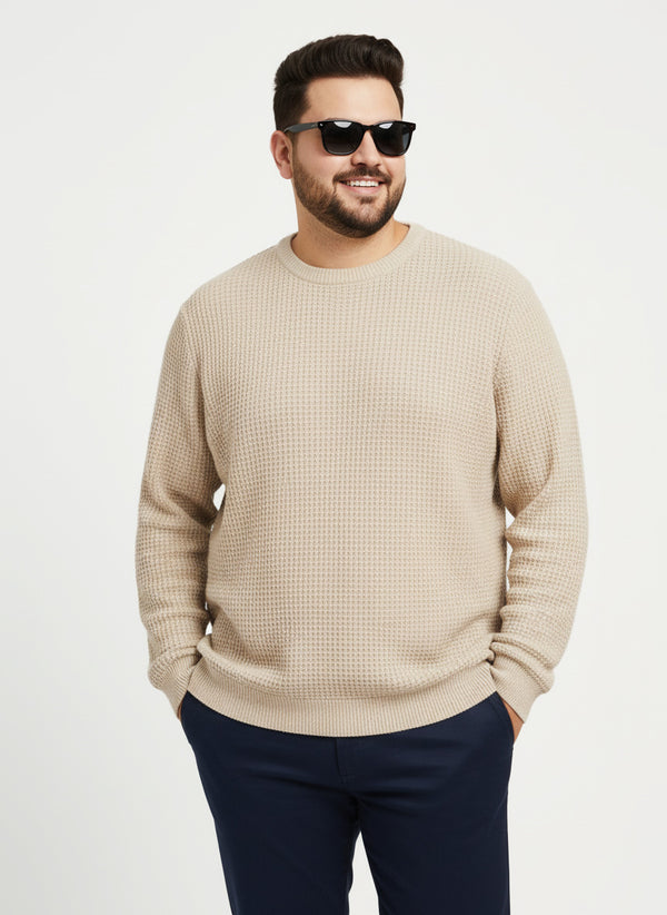 Waffle Pure Cotton Crew Neck Full Sleeve T-shirt in Beige