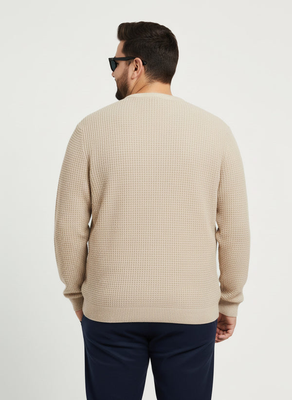 Waffle Pure Cotton Crew Neck Full Sleeve T-shirt in Beige