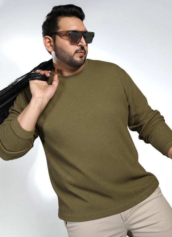 Oswald Knit Textured Sweatshirt in Light Olive Green
